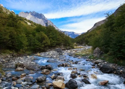 Full Day Torres del Paine